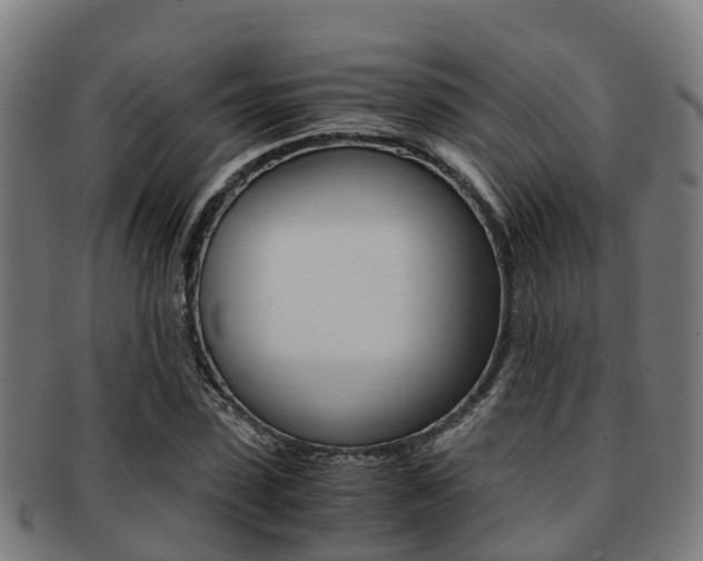 X0000091920923200709051228
