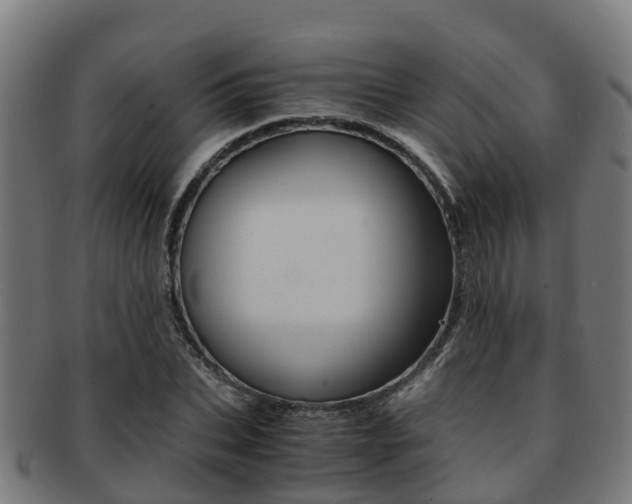 X0000091920927200709051228
