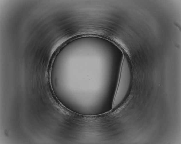 X0000091920928200709051228