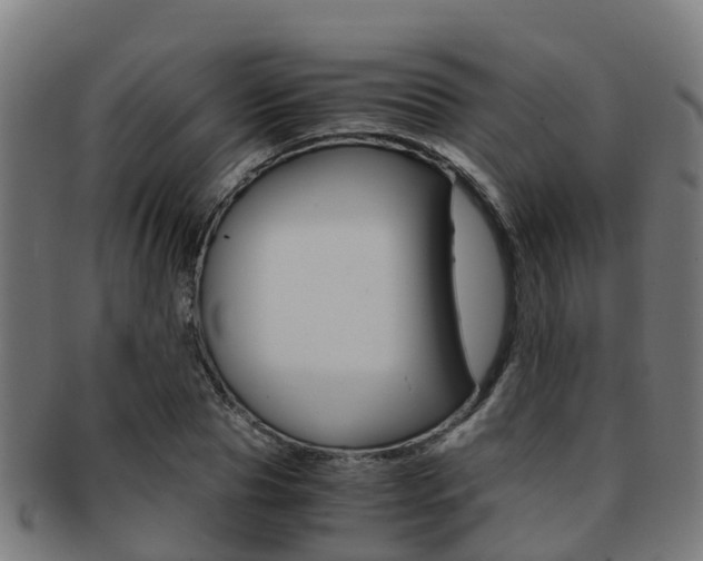 X0000091920929200709051228