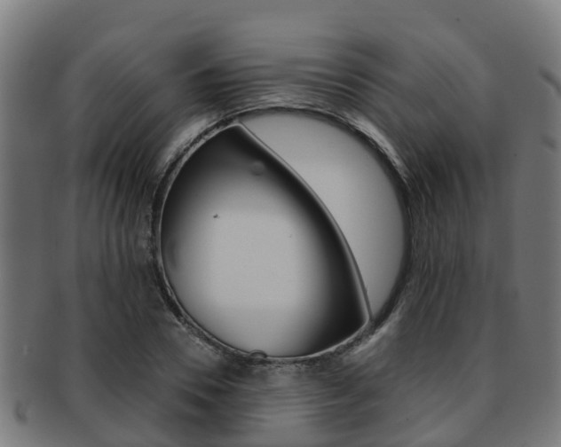 X0000091920930200709051228