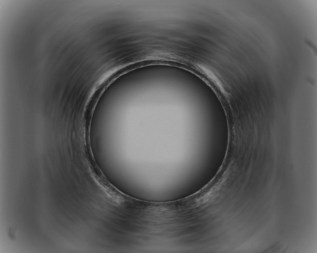 X0000091920931200709051228
