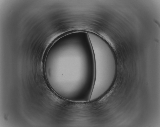 X0000091920932200709051228