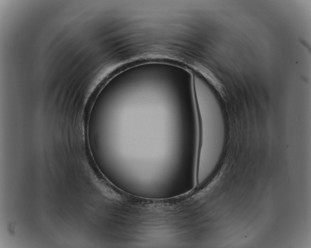 X0000091920934200709051228