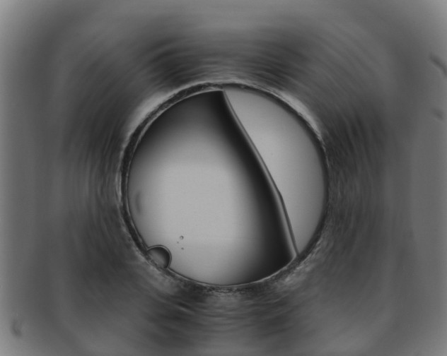 X0000091920935200709051228