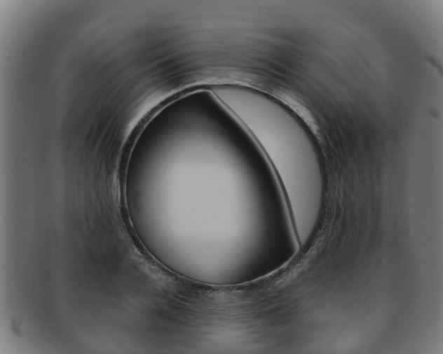X0000091920936200709051228