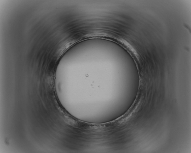 X0000091920937200709051228