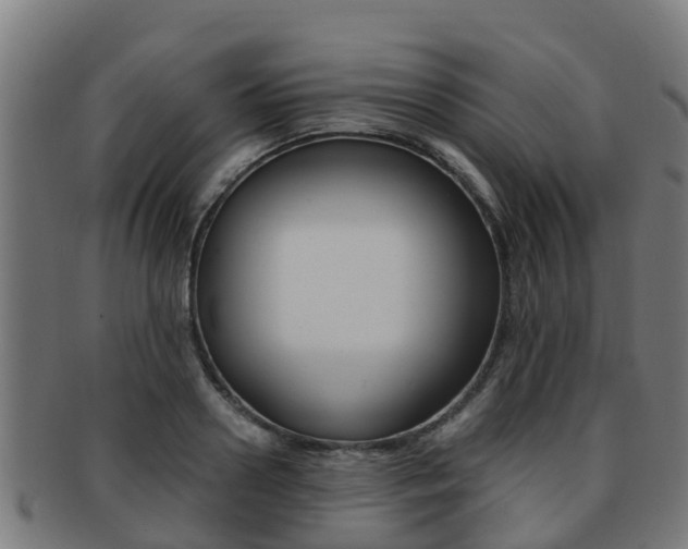 X0000091920938200709051228