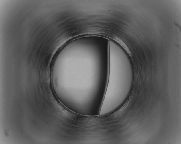 X0000091920939200709051228