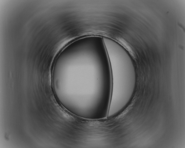 X0000091920940200709051228