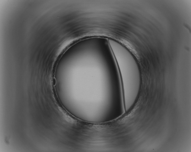 X0000091920942200709051228