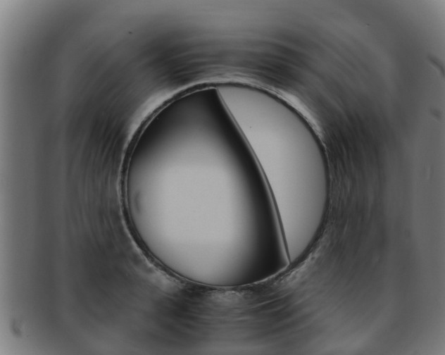 X0000091920943200709051228