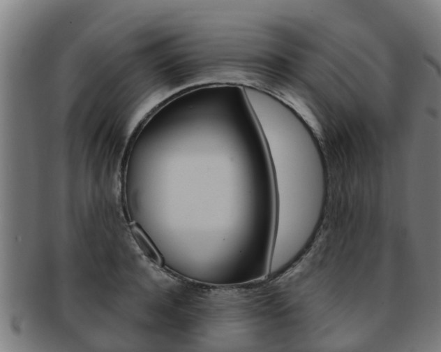 X0000091920944200709051228