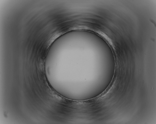 X0000091920945200709051228
