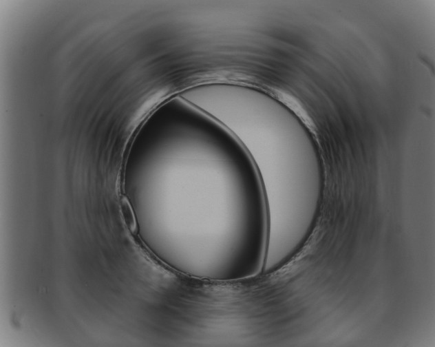 X0000091920946200709051228