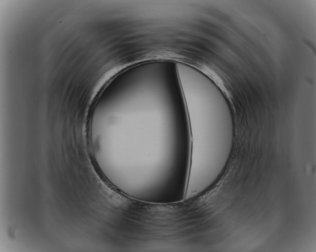 X0000091920947200709051228