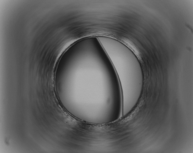 X0000091920948200709051228