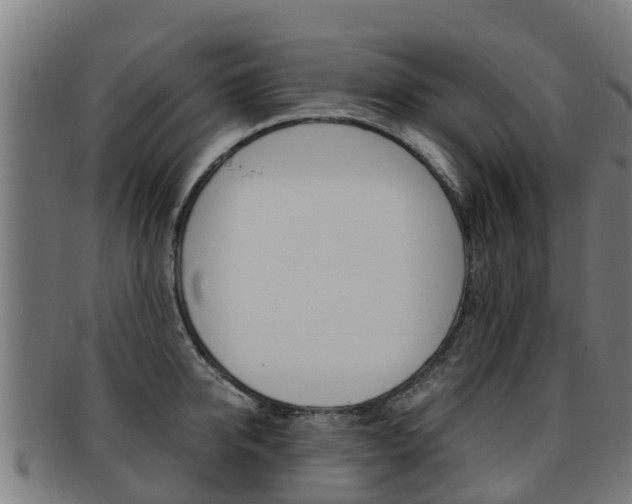 X0000091920950200709051228