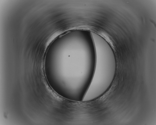 X0000091920952200709051228