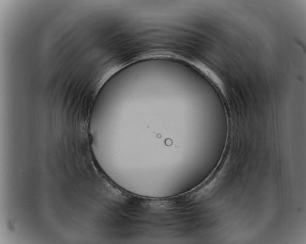 X0000091920953200709051228