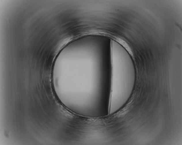 X0000091920954200709051228