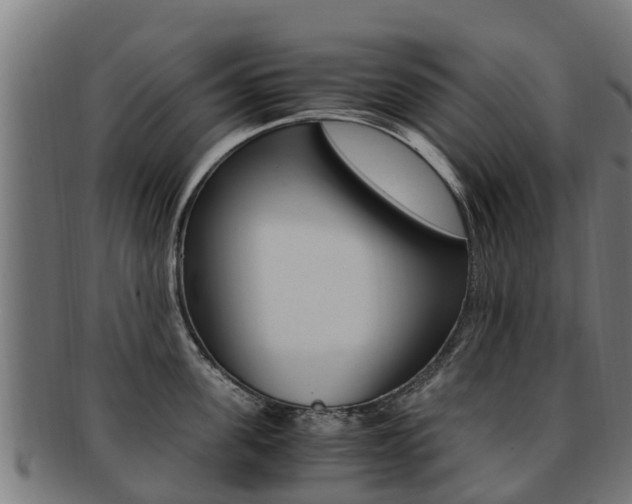 X0000091920955200709051228