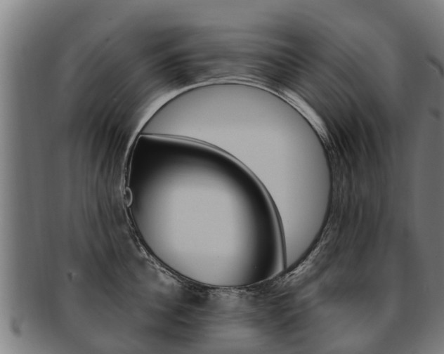 X0000091920956200709051228