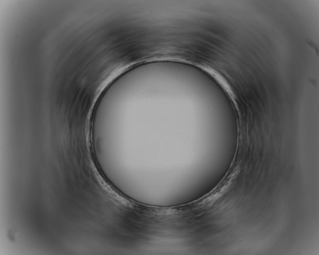 X0000091920957200709051228