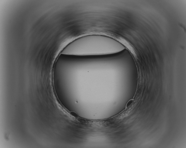 X0000091920958200709051228