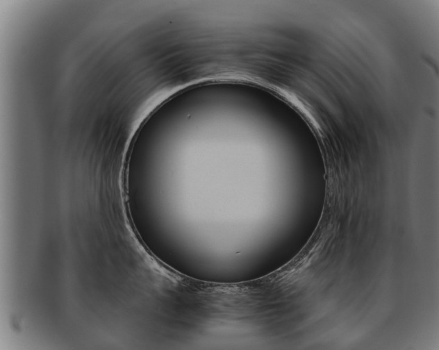 X0000091920959200709051228