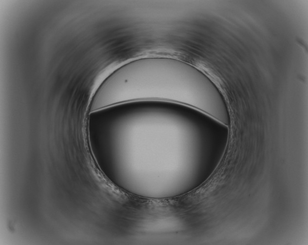 X0000091920960200709051228