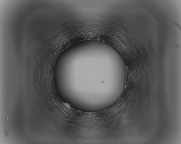 X0000091920961200709051228