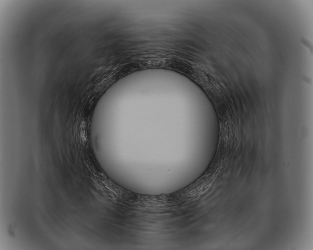 X0000091920962200709051227