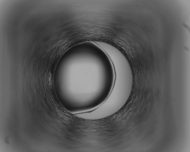 X0000091920963200709051227