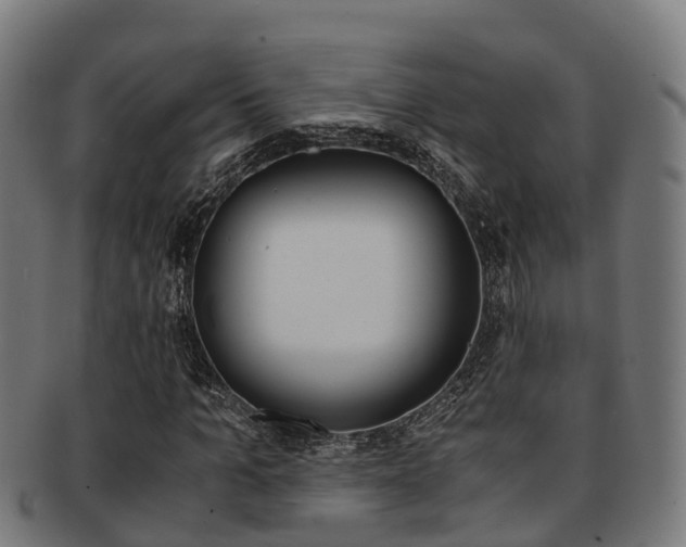 X0000091920965200709051227