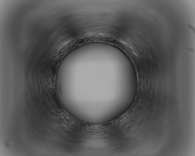 X0000091920966200709051227