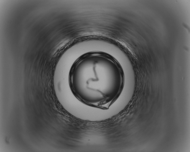 X0000091920967200709051227