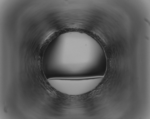 X0000091920968200709051227