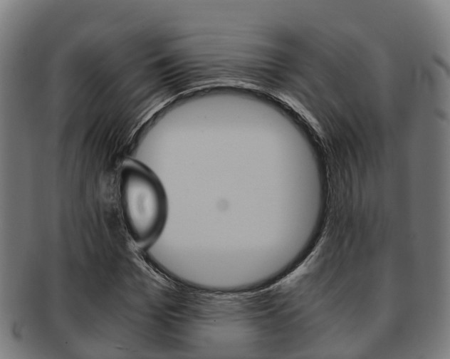 X0000091920969200709051227