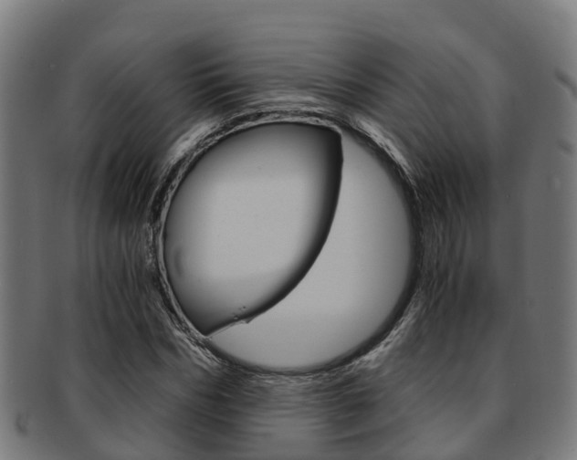 X0000091920970200709051227