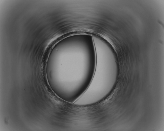 X0000091920971200709051227