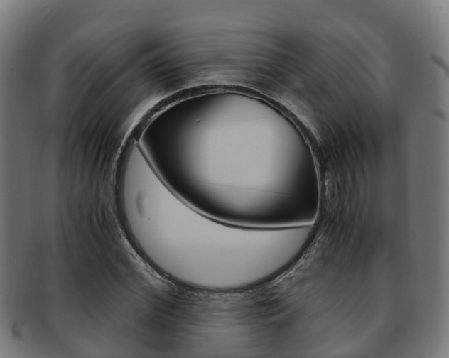 X0000091920972200709051227