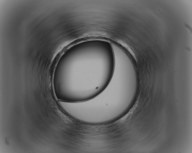 X0000091920973200709051227