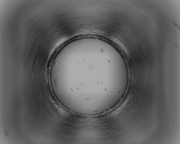 X0000091920974200709051227