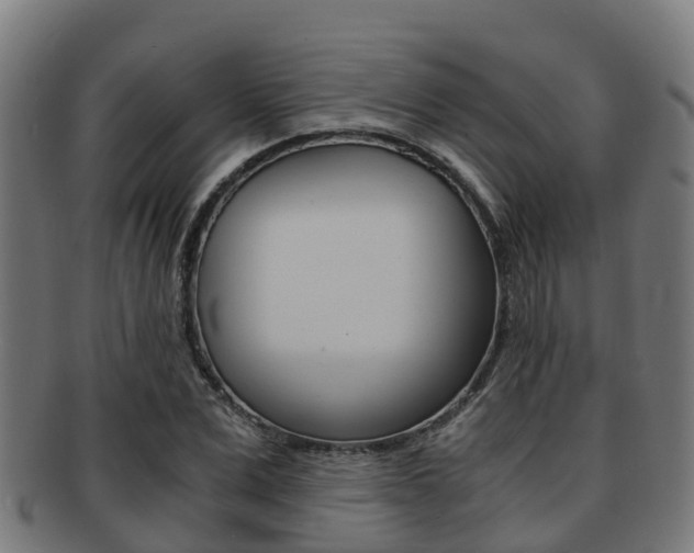 X0000091920975200709051227