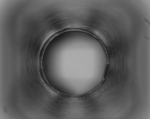 X0000091920976200709051227