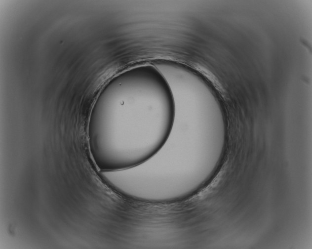 X0000091920977200709051227