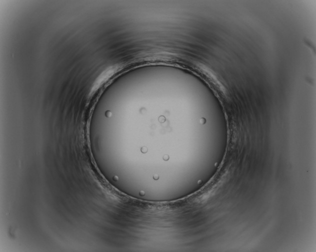 X0000091920978200709051227