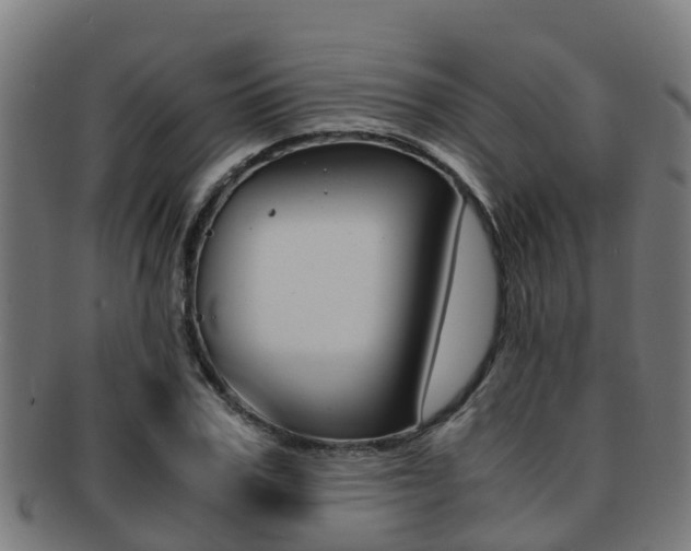 X0000091920979200709051227