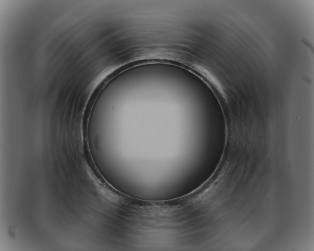 X0000091920980200709051227